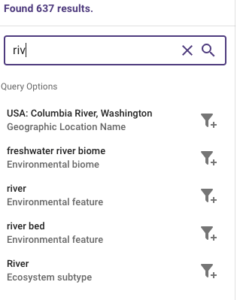 Displays an example search for "riv"